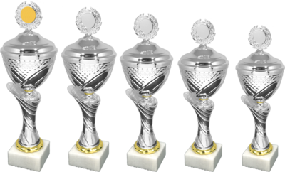 Middelgrote bekers/trofeeën