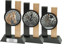 Houten standaard Paardrijden