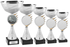 Duivensport beker B305