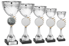 B151 grote beker Duivensport