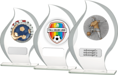 Glastrofee met reli&euml;f embleem