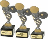 tafeltennis-trofee-B111