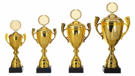 Sportbeker-goud-AK5614-serie