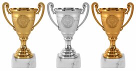 Budget-Beker-Sportbeker-met-gravering-B355