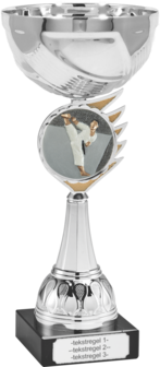 Karate beker B305