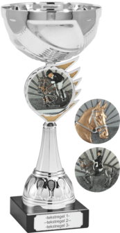 Paardrijden Beker B305