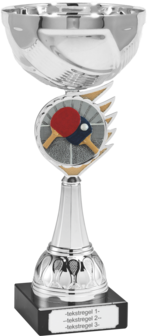 Tafeltennis Beker B305