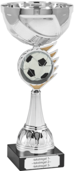 Voetbal Beker met gravering B305