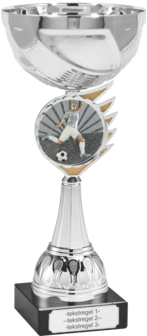 Voetbal Heren Beker met gravering B305