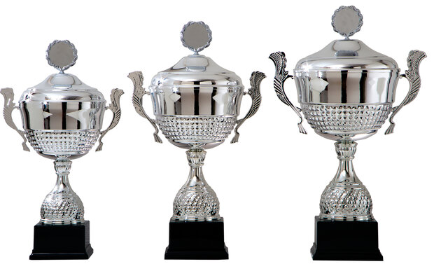 Grote-Sportbeker-AK5360-serie