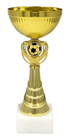Voetbal-beker-trofee-B348