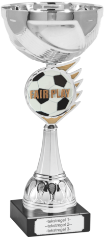 Voetbal Fairplay Beker met gravering B305