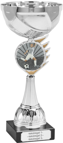 Voetbal Heren Beker met gravering B305
