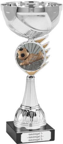 Voetbal Schoen Beker met gravering B305