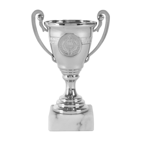 Budget-Beker-Sportbeker-Zilver-met-gravering-B355