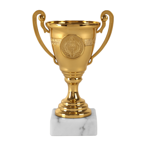 Budget-Beker-Sportbeker-Goud-met-gravering-B355