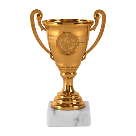 Budget-Beker-Sportbeker-Brons-met-gravering-B355