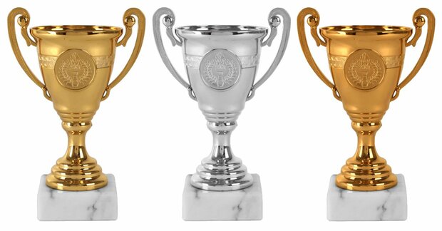 Budget-Beker-Sportbeker-met-gravering-B355