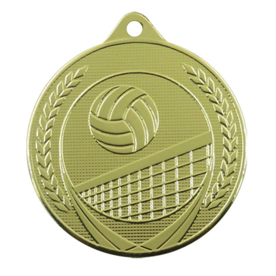 volleybal-medaille-goud-bokaal-arnhem
