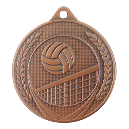 volleybal-medaille-brons-bokaal-arnhem