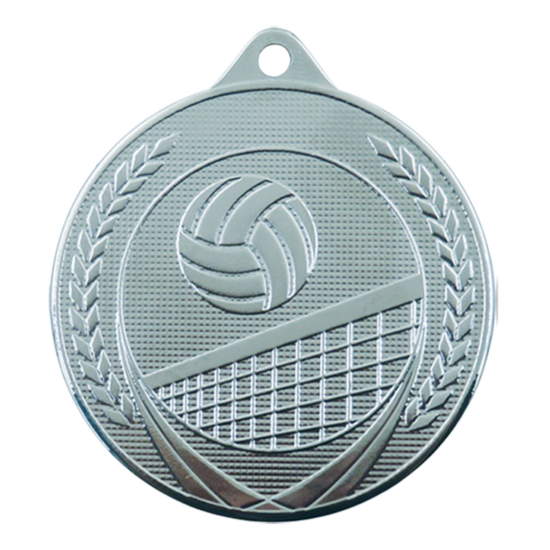 volleybal-medaille-zilver-bokaal-arnhem