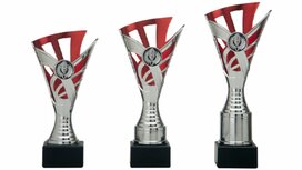 Trofee met kunststof cupje zilver-rood Trofee met kunststof cupje zilver-rood