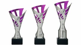 Trofee met kunststof cupje zilver-paars AR1200 Trofee met kunststof cupje zilver-paars AR1200