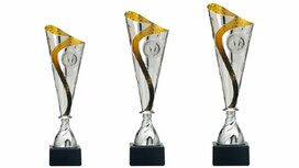 Kunststof Trofee zilver-goud Kunststof Trofee zilver-goud