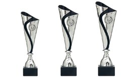 Kunststof Trofee zilver-zwart Kunststof Trofee zilver-zwart