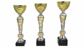 Beker met gouden cup B195 Beker met gouden cup B195