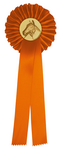 1-rings Paardensport Rozet R1 Oranje - 300x105mm 1-rings Paardensport Rozet R1 Oranje - 300x105mm