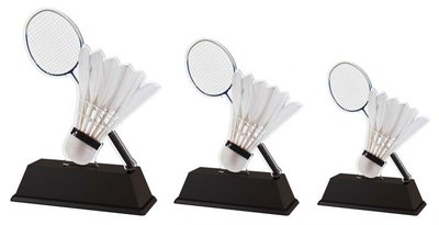 Acrylstandaard Badminton